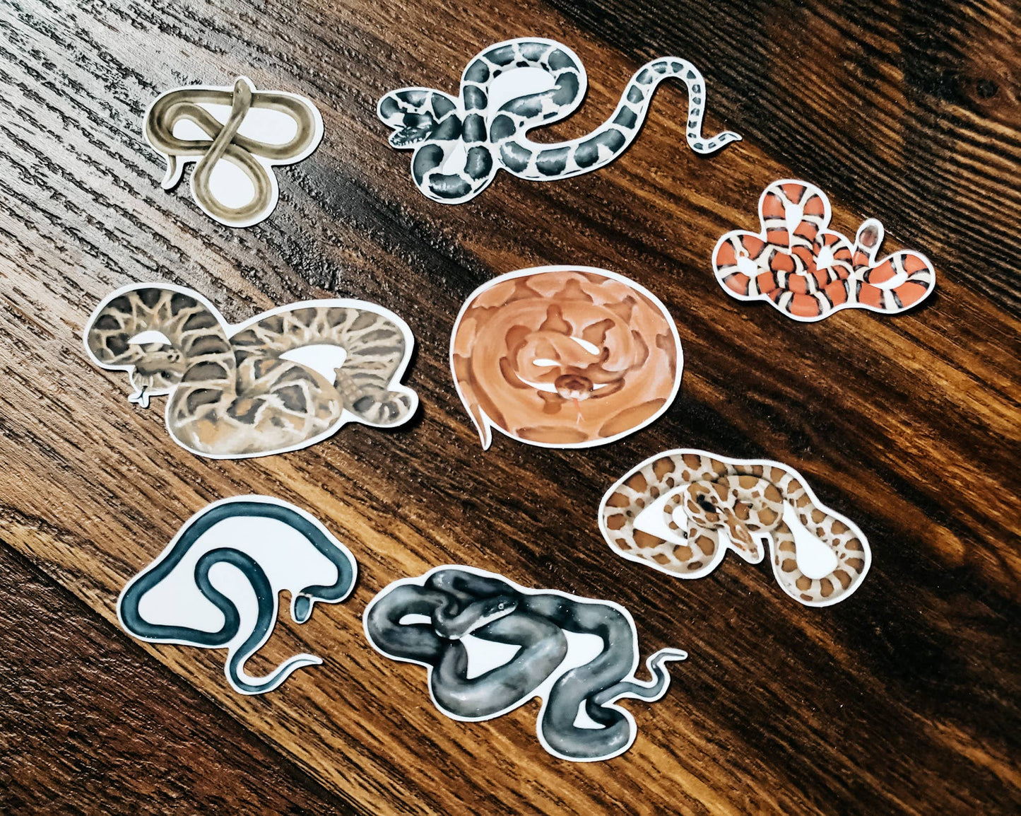 Snake Sticker Pack, Set of 8 Matte Vinyl Stickers