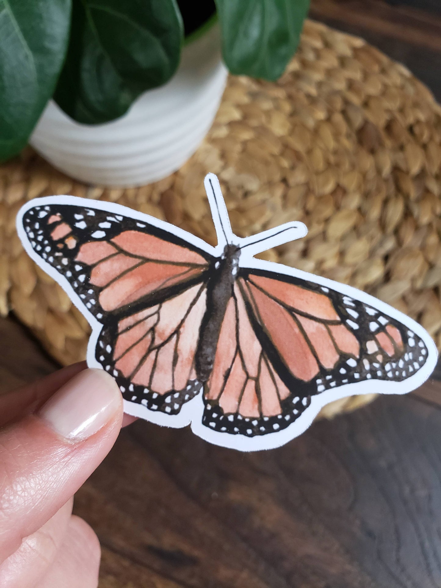 Monarch Butterfly Sticker