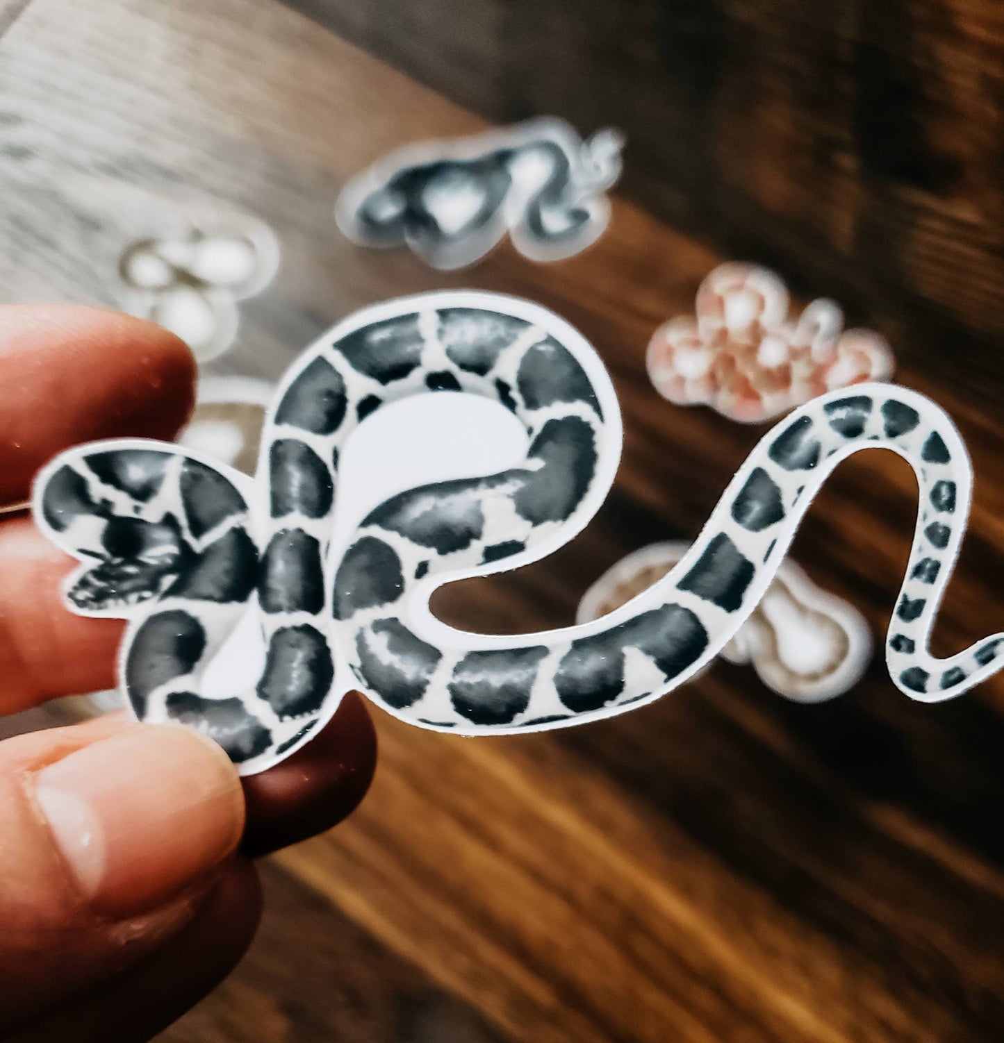 Snake Sticker Pack, Set of 8 Matte Vinyl Stickers