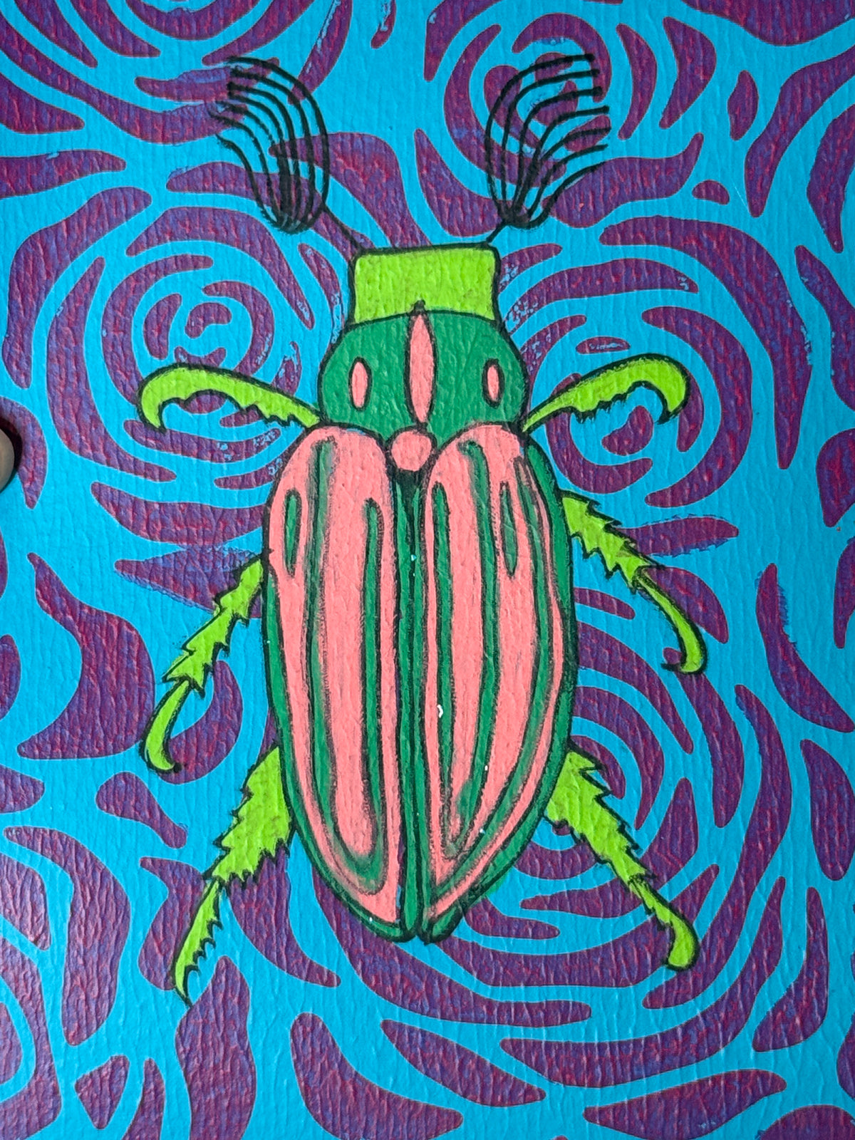 Ten Lined June Beetle #1