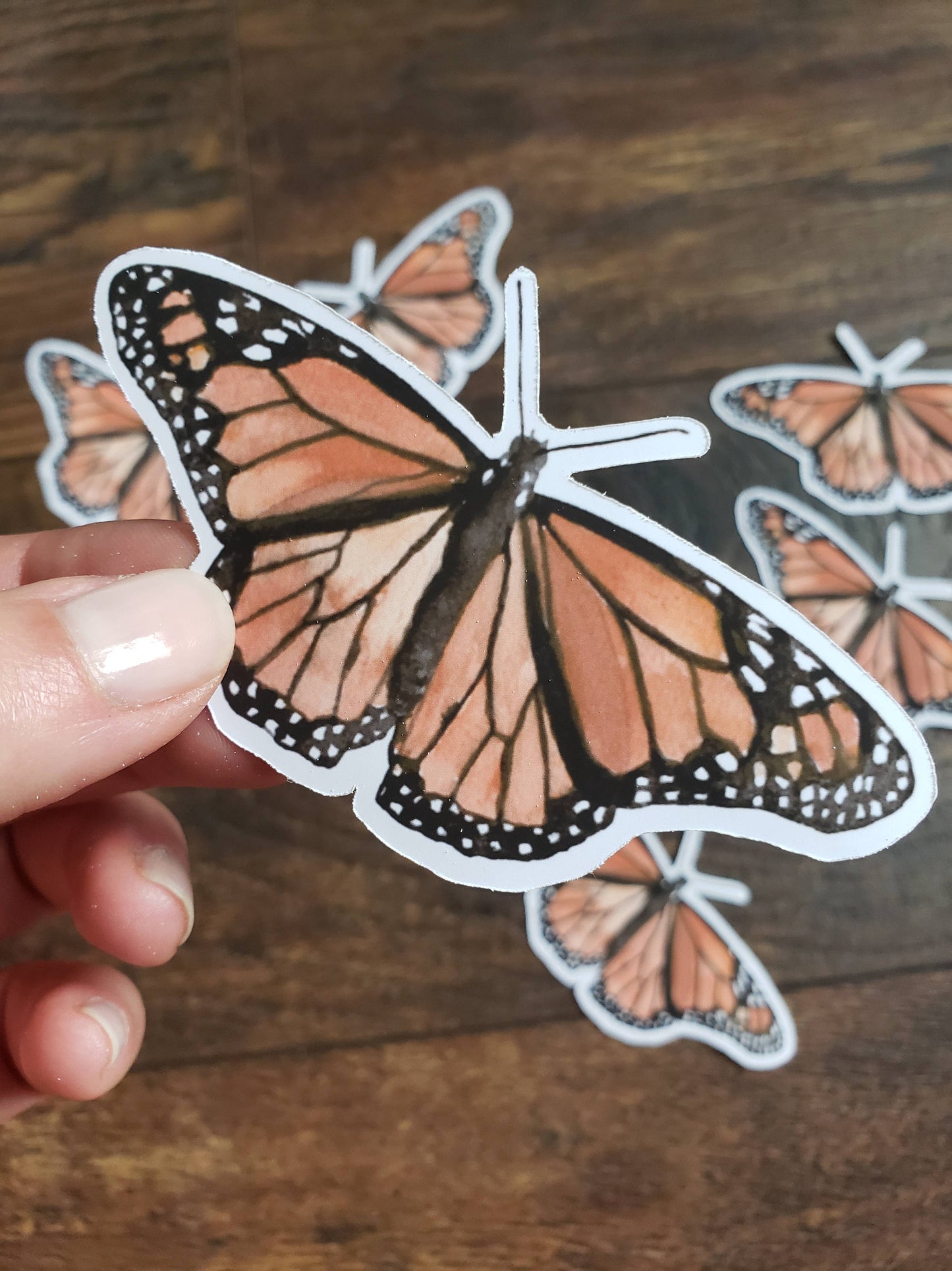 Monarch Butterfly Sticker