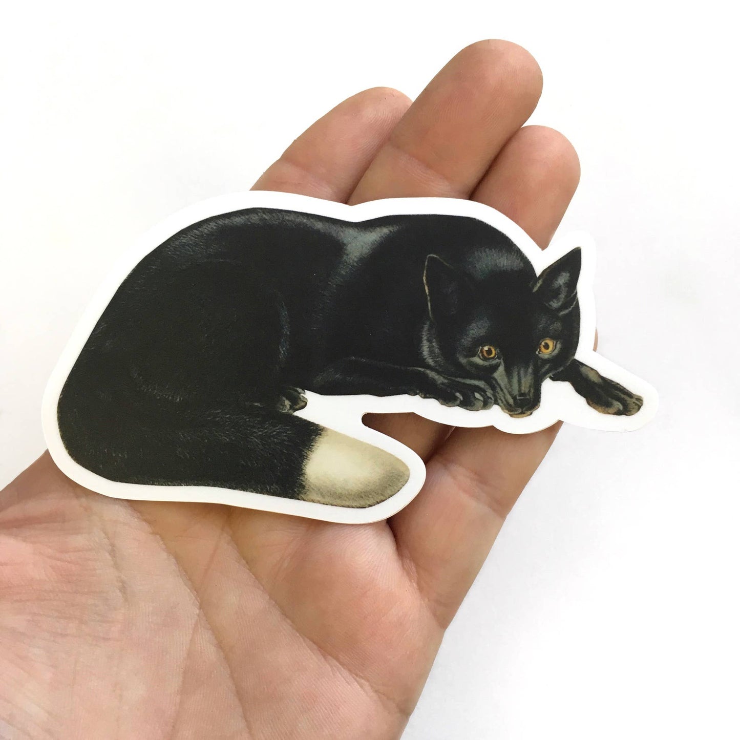 Black Fox Vintage Sticker